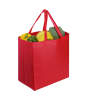 Large Shopping Bag